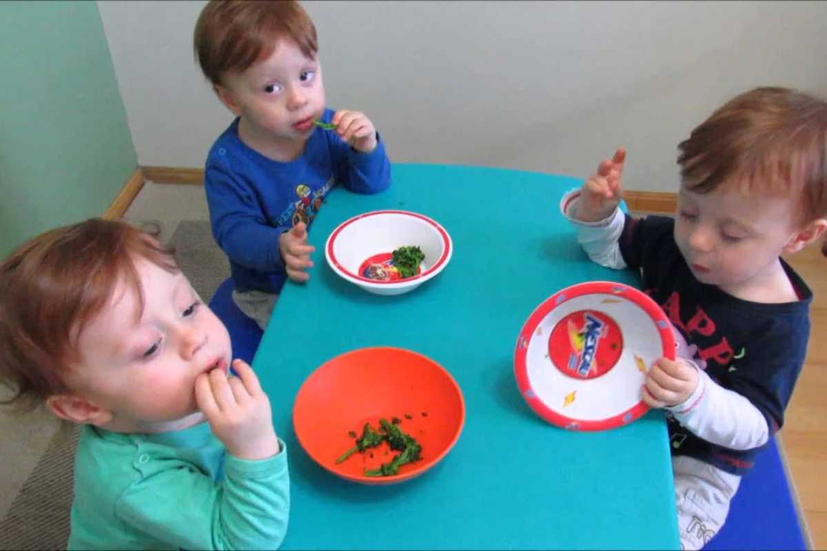 Alimentação de Bebês na Escolinha: Como Garantir Nutrição, Segurança e Tranquilidade