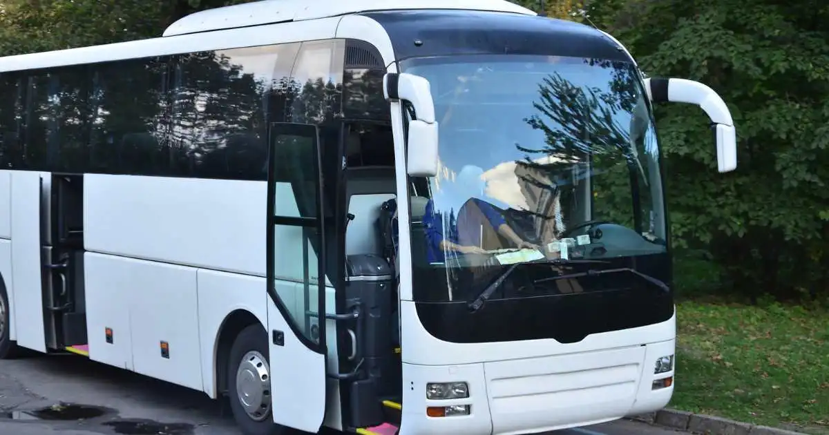 Nenê Constantino: Trajetória e Influência no Setor de Transporte